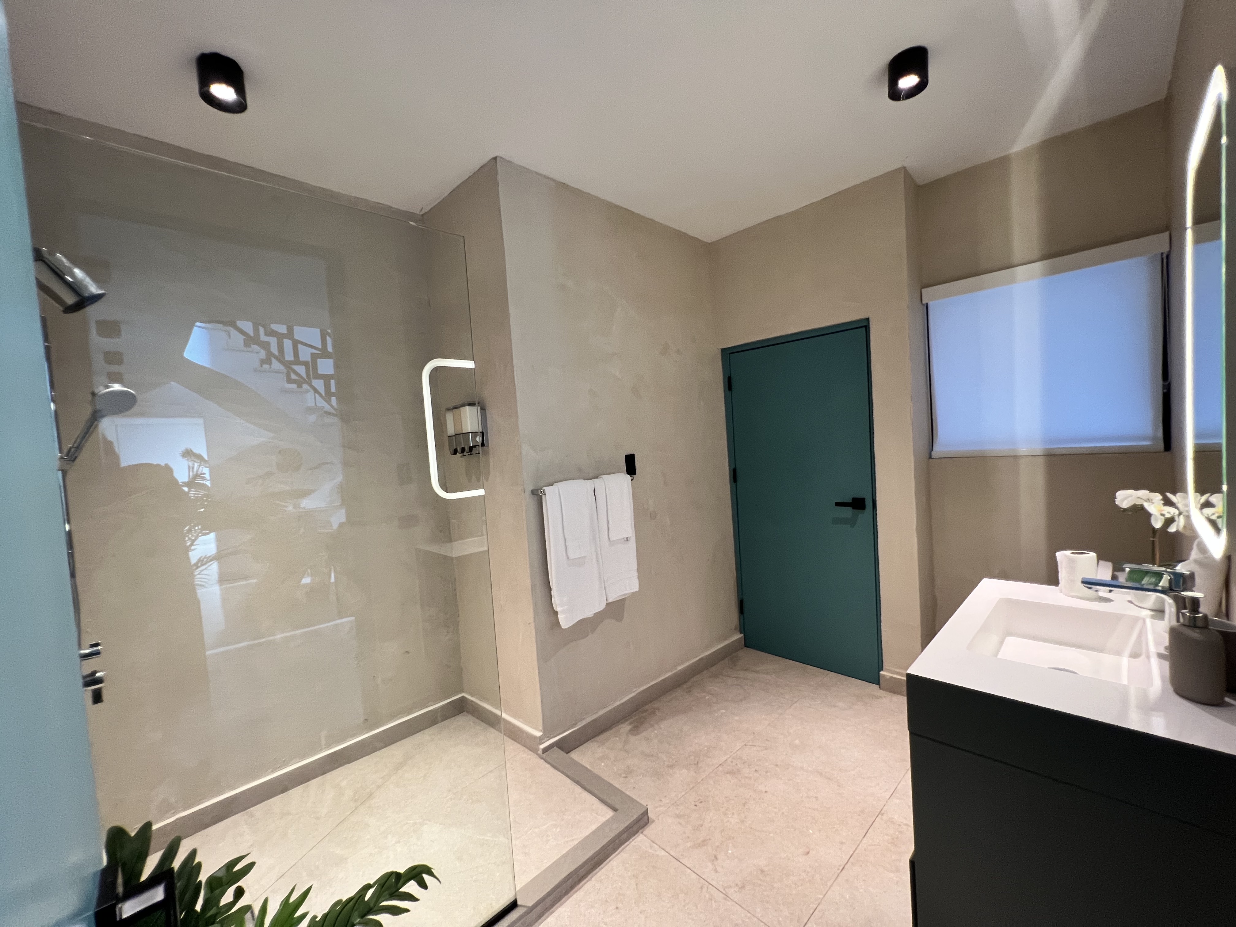Master bathroom with teal door